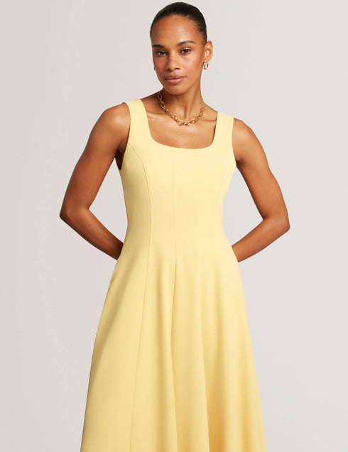 Φόρεμα midi Arlott Ted Baker 283577-light yellow